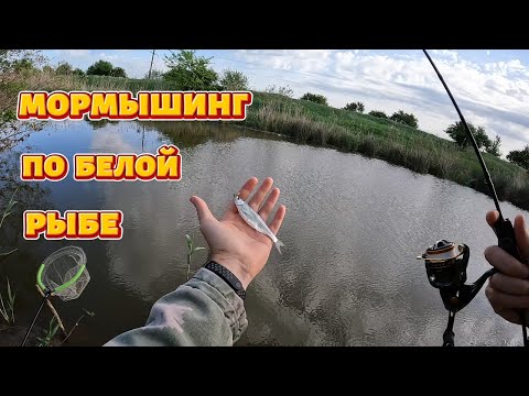 Видео: Мормышинг по белой рыбе