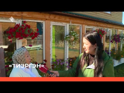 Видео: «Тиэргэн» биэриигэ: Лукиновтар даачалара (05.09.22)