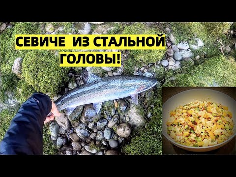 Видео: СТАЛЬНАЯ ГОЛОВА. НАКОНЕЦ-ТО КИПЕР. КАК ДЕЛАТЬ СЕВИЧЕ ИЗ ЛОСОСЯ.