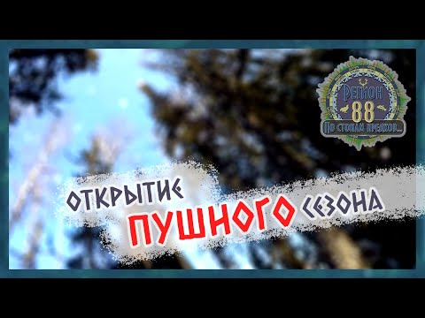 Видео: Регион 88 | Открытие пушного сезона,пока только белки