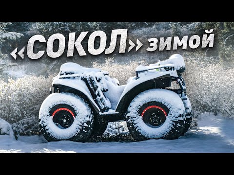 Видео: Все о квадроциклах СОКОЛ. Производство, езда по снегу, модельный ряд. Интервью с Денисом Подлескиным