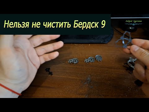Видео: Нельзя не чистить Бердск 9