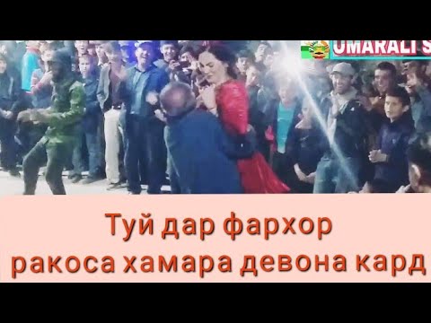 Видео: Туй дар Н Фархор Ракоса туя девона кард
