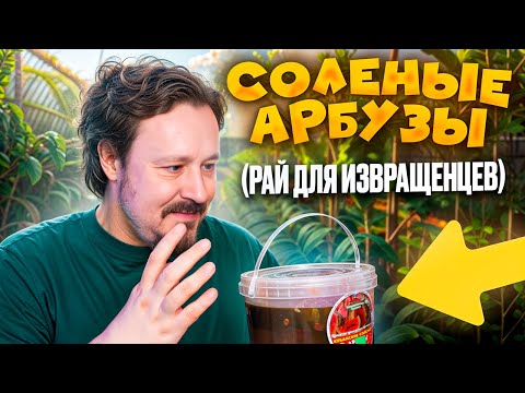 Видео: Соленые арбузы. Обожаю