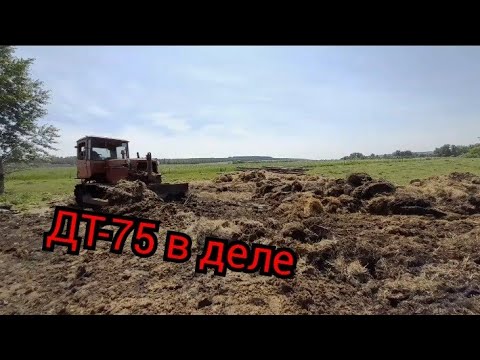 Видео: ДТ-75 добрался и донас чистка навоза и выравнивание территории
