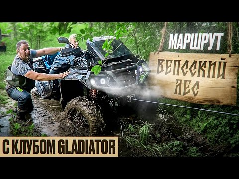 Видео: Вепсский лес. Заброшенные деревни и красивейшие места недалеко от Санкт-Петербурга