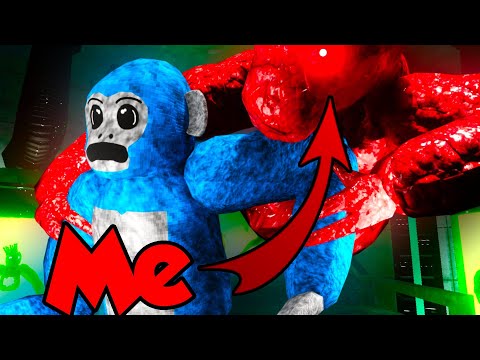 Видео: БУДЬТЕ МОНСТРОМ В СТРАШНОМ БАБУИНЕ