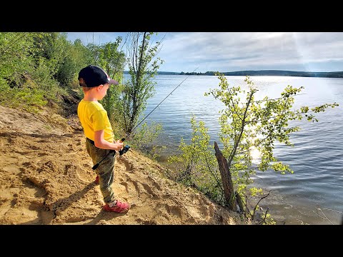 Видео: ЧТО ОН ПОЙМАЕТ?! Первые РЫБЫ СЫНА на СПИННИНГ! | Учу сына ловить рыбу на спиннинг | Семейная рыбалка