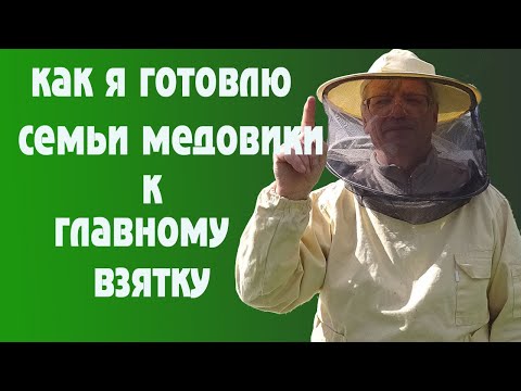 Видео: Как я готовлю семьи медовики к главному взятку.