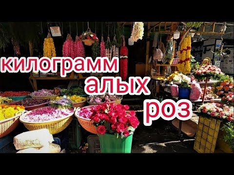 Видео: Индийский рынок |  Покупаем МЕШОК ЦВЕТОВ для Праздника Онам #индия