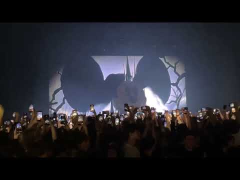 Видео: 9mice - intro + jenna (09.11.25) / Питер