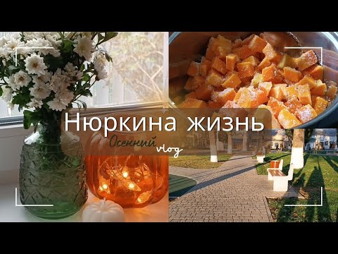 Видео: Последние осенние заготовки // Работа в огороде // Будни мамы в станице на Кубани