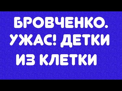 Видео: Бровченко// Ужас! Детки из клетки// Обзор видео//