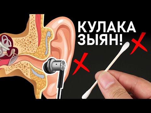 Видео: БУЛ АДАТТЫН АЙЫНАН КУЛАГЫБЫЗ УКПАЙ КАЛАТ!ВИДЕОНУ БӨЛҮШ, БААРЫ КӨРСҮН!8D AUDIO