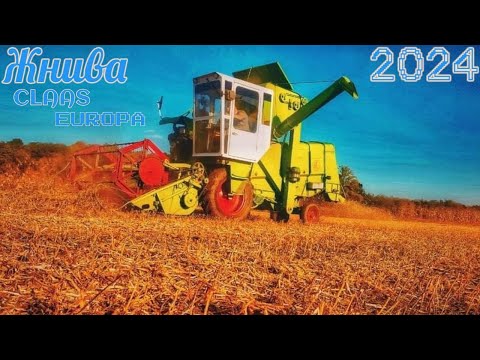 Видео: Розпочали жнива сої 🌱.Комбайном CLAAS EUROPA ❗️2024❗️