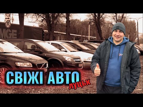 Видео: Авторинок ЛУЦЬК //СВІЖІ ЦІНИ 14.11/БЮДЖЕТНІ і не тільки #автопідбір