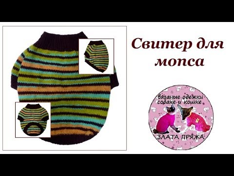 Видео: 19. Свитер для мопса