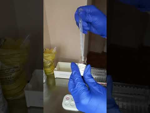 Видео: Паспорт экзаменационной станции: Определение группы крови