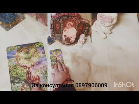 Видео: 💖🌟 Да дадете ли шанс на отношенията - бъдещето ви с него 🌟💖