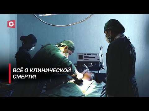 Видео: Жизнь после смерти! | Почему люди хотят остаться на том свете? | В поисках истины