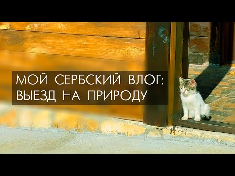 Видео: Сербский влог: выезд на природу и мысли о ни о чём