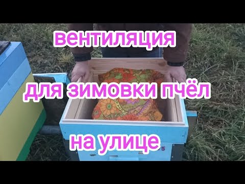 Видео: Зимовка пчёл на воле. Верхняя вентиляция. Как избежать влаги. Пчеловодство!