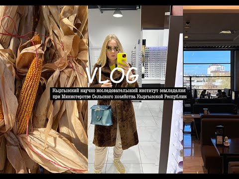 Видео: Кыргызстан: сельское хозяйство | Моя тайная жизнь в Бишкеке