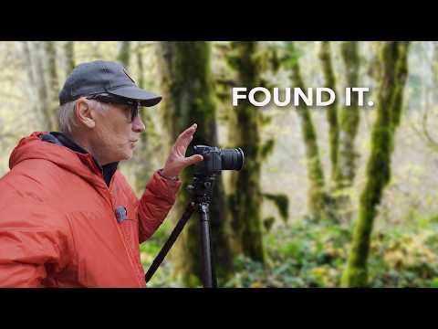 Видео: В погоне за последними красками осени на острове Ванкувер