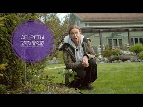 Видео: МУЛЬЧА |  ВСЕ СЕКРЕТЫ ИСПОЛЬЗОВАНИЯ В САДУ ОРГАНИЧЕСКОЙ МУЛЬЧИ