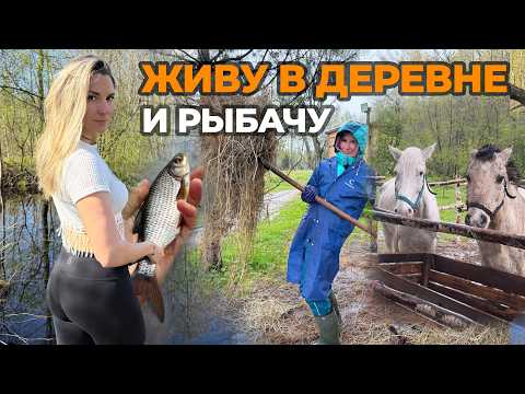 Видео: ЛОВЛЮ НА ПОПЛАВОК НА ДИКОМ РУЧЬЕ! ЖИЗНЬ В ГЛУХОЙ ДЕРЕВНЕ.