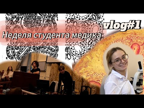 Видео: Одна неделя из жизни студента медика. Учеба в медицинском