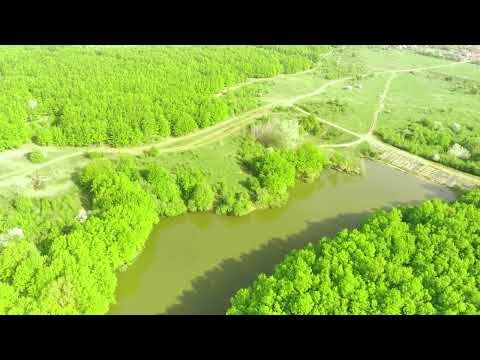 Видео: Пруды станицы Холмская