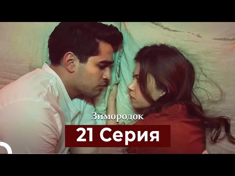 Видео: Зимородок 21 Cерия (Русский дубляж)