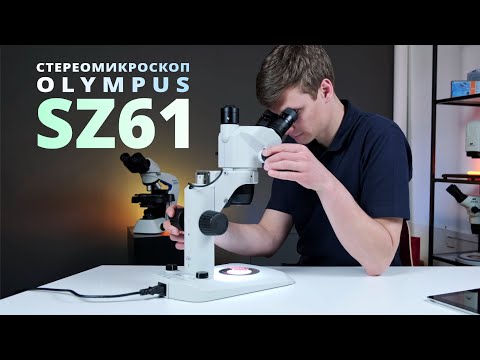 Видео: Обзор микроскопа Olympus SZ61