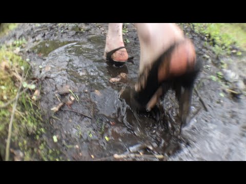 Видео: Тальник – Неизбежная близость