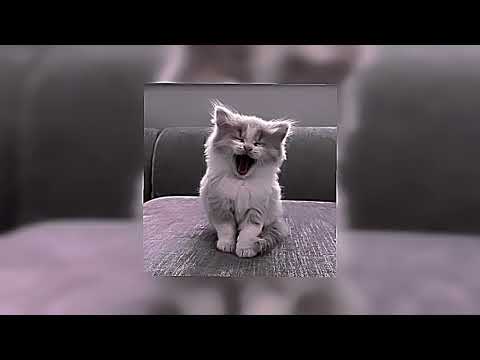 Видео: Монатик - вокруг тебя весь мир кружит (speed up)