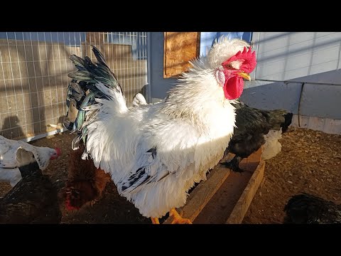 Видео: Насыпала новый ОСУШИТЕЛЬ. 🤔🙂