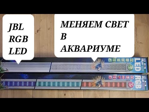 Видео: Меняем свет. Обзор света JBL. Комментарии о Chihiros. Давайте сравним. Часть 1.