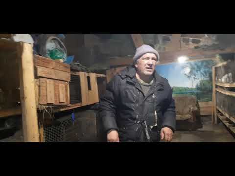 Видео: В маточниках народ прибавляется!!!