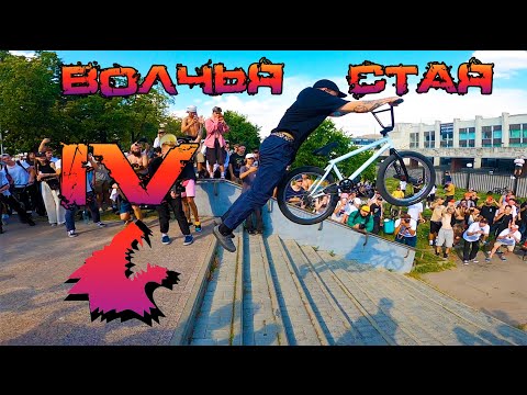 Видео: ВОЛЧЬЯ СТАЯ IV