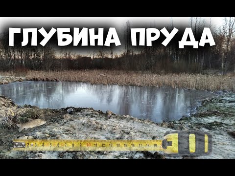 Видео: Глубина пруда на участке