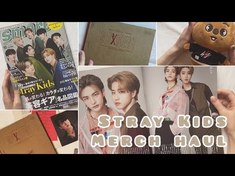 Видео: Долгожданные распаковки неформатного мерча Stray Kids.