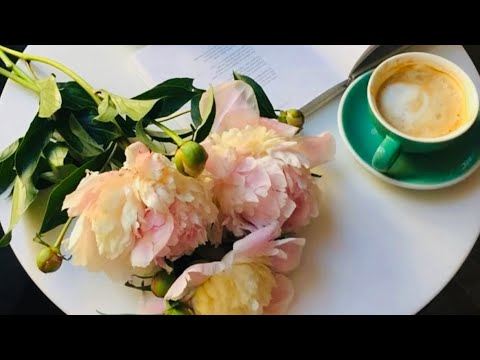 Видео: Как относятся к Вам родственники!?🖼️🌳