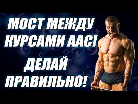 Видео: Мост между курсами ААС. Как правильно делать отдых между курсами?