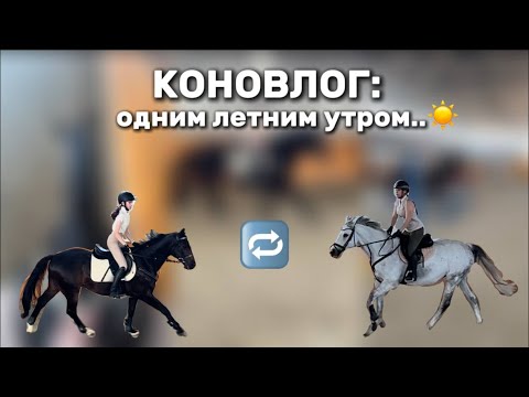 Видео: КОНОВЛОГ: что можно делать на конюшне в 7 утра⁉️обмен лошадьми с подругой