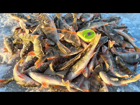 Видео: Оторвался по окуню. Белоярское водохранилище. ЛЭП.