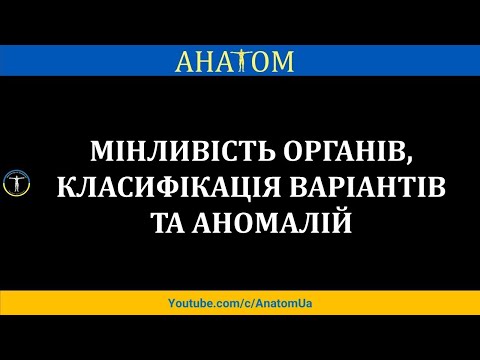 Видео: Мінливість органів, класифікація варіантів та аномалій