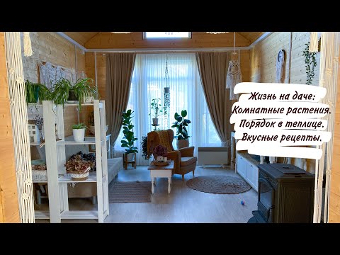 Видео: Жизнь на даче: Комнатные растения. Порядок в теплице. Вкусные рецепты.