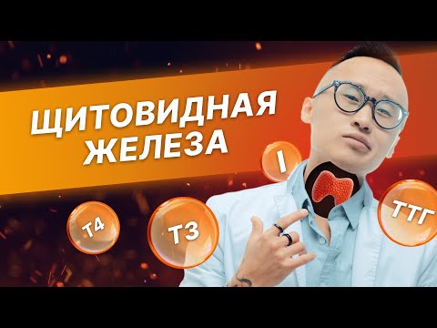 Видео: Гипотиреоз, тиреотоксикоз и главные мифы о здоровье и лечении щитовидной железы.
