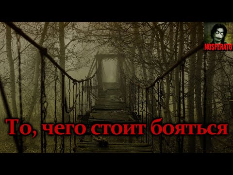 Видео: То, чего стоит бояться. Страшные истории на ночь. Страшилки на ночь